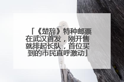 《楚辞》特种邮票在武汉首发，刚开售就排起长队，首位买到的市民直呼激动