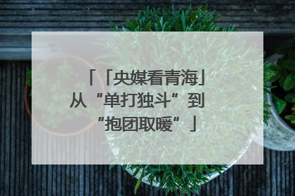 「央媒看青海」从“单打独斗”到“抱团取暖”