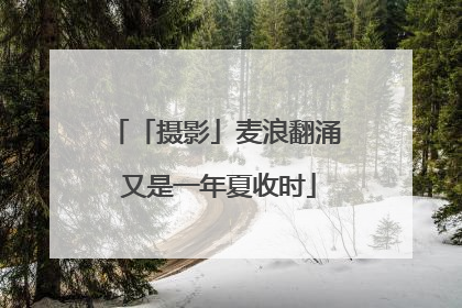 「摄影」麦浪翻涌 又是一年夏收时