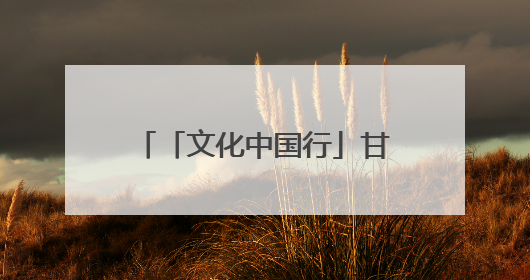 「文化中国行」甘肃：以文化“入圈”带动文创“出圈”