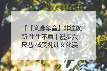 「文脉华章」非遗焕新 生生不息｜漫步六尺巷 感受礼让文化浸润的“巷”往生活