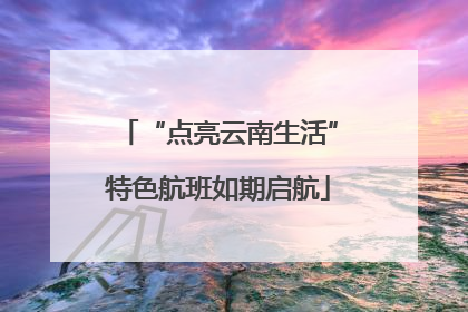 “点亮云南生活”特色航班如期启航