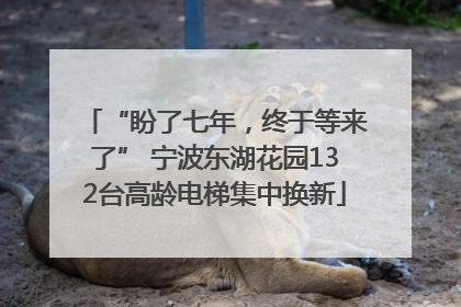 “盼了七年，终于等来了” 宁波东湖花园132台高龄电梯集中换新