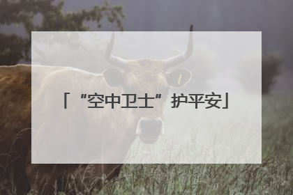 “空中卫士”护平安