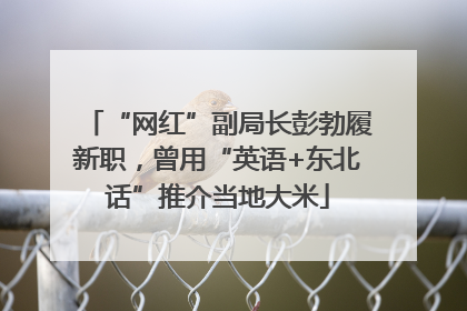 “网红”副局长彭勃履新职，曾用“英语+东北话”推介当地大米