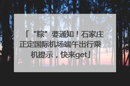 “粽”要通知！石家庄正定国际机场端午出行乘机提示，快来get