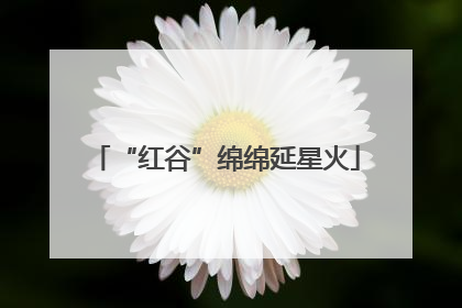 “红谷”绵绵延星火