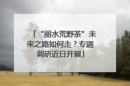 “丽水荒野茶”未来之路如何走？专题调研近日开展