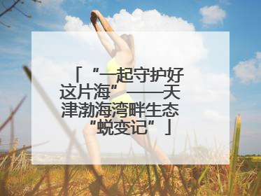 “一起守护好这片海”——天津渤海湾畔生态“蜕变记”