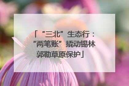 “三北”生态行：“两笔账”撬动锡林郭勒草原保护