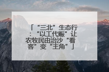 “三北”生态行：“以工代赈”让农牧民由治沙“看客”变“主角”