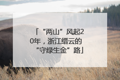 “两山”风起20年，浙江缙云的“守绿生金”路