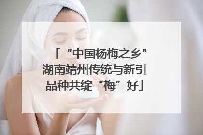 “中国杨梅之乡”湖南靖州传统与新引品种共绽“梅”好