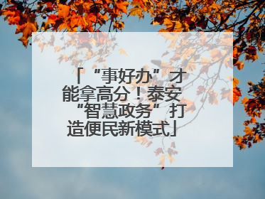 “事好办”才能拿高分！泰安“智慧政务”打造便民新模式