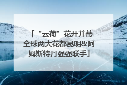 “云荷”花开并蒂 全球两大花都昆明&阿姆斯特丹强强联手