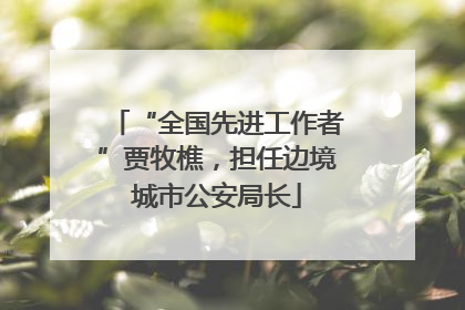 “全国先进工作者”贾牧樵，担任边境城市公安局长