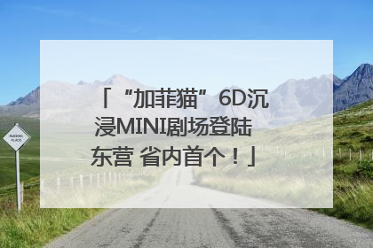 “加菲猫”6D沉浸MINI剧场登陆东营 省内首个！
