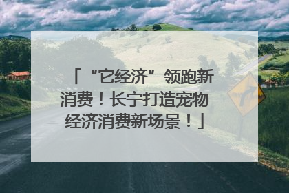 “它经济”领跑新消费！长宁打造宠物经济消费新场景！