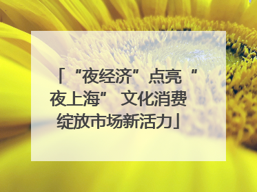 “夜经济”点亮“夜上海” 文化消费绽放市场新活力