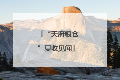 “天府粮仓”夏收见闻