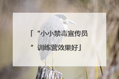 “小小禁毒宣传员”训练营效果好