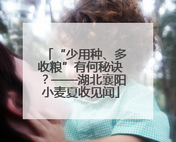 “少用种、多收粮”有何秘诀？——湖北襄阳小麦夏收见闻