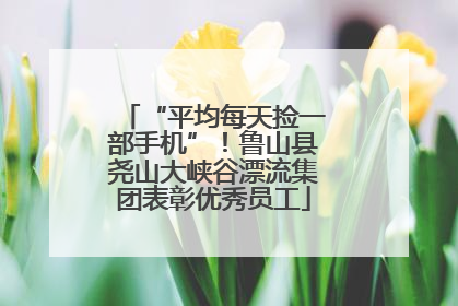 “平均每天捡一部手机”！鲁山县尧山大峡谷漂流集团表彰优秀员工