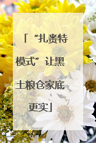 “扎赉特模式”让黑土粮仓家底更实
