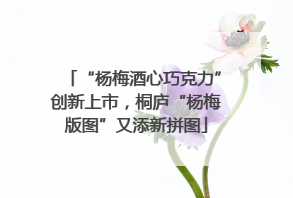 “杨梅酒心巧克力”创新上市，桐庐“杨梅版图”又添新拼图