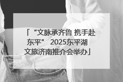 “文脉承齐鲁 携手赴东平” 2025东平湖文旅济南推介会举办