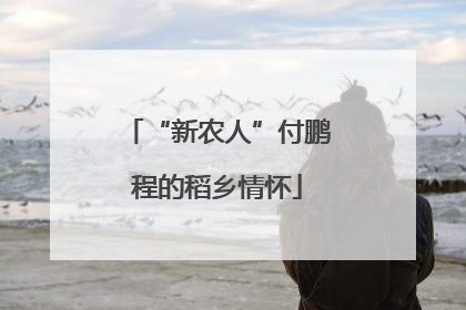 “新农人”付鹏程的稻乡情怀