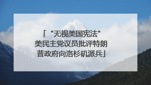 “无视美国宪法” 美民主党议员批评特朗普政府向洛杉矶派兵