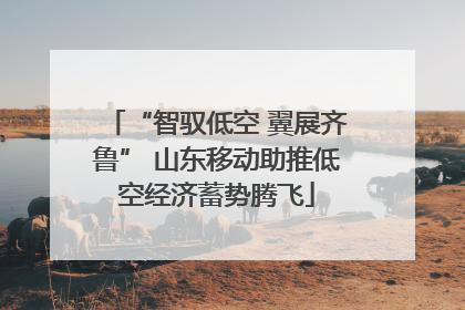 “智驭低空 翼展齐鲁” 山东移动助推低空经济蓄势腾飞