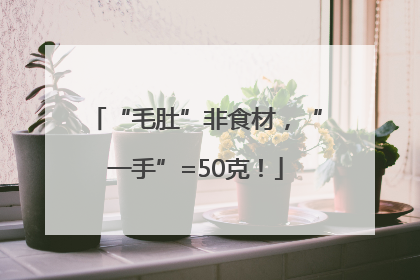“毛肚”非食材，“一手”=50克！