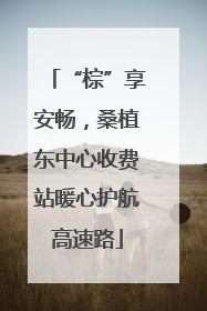 “棕”享安畅，桑植东中心收费站暖心护航高速路