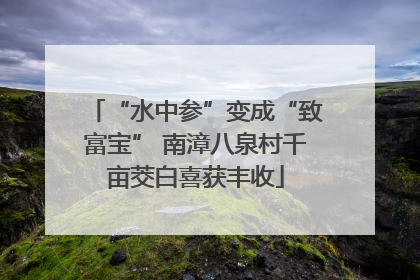 “水中参”变成“致富宝” 南漳八泉村千亩茭白喜获丰收