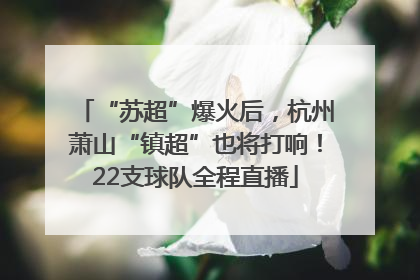 “苏超”爆火后，杭州萧山“镇超”也将打响！22支球队全程直播