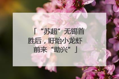 “苏超”无锡首胜后，盱眙小龙虾前来“助兴”