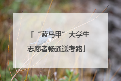 “蓝马甲”大学生志愿者畅通送考路