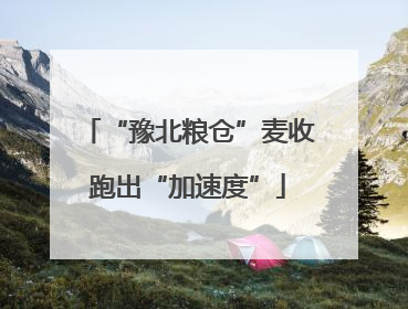 “豫北粮仓”麦收跑出“加速度”