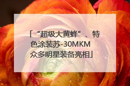 “超级大黄蜂”、特色涂装苏-30MKM 众多明星装备亮相