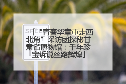 “青春华章重走西北角”采访团探秘甘肃省博物馆：千年珍宝诉说丝路辉煌