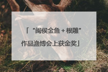 “闽侯金鱼＋根雕”作品渔博会上获金奖