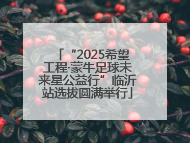 “2025希望工程·蒙牛足球未来星公益行”临沂站选拔圆满举行