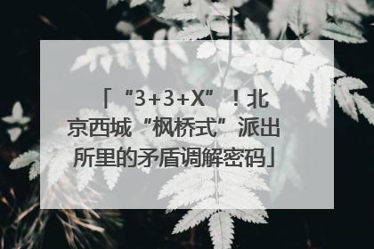 “3+3+X”！北京西城“枫桥式”派出所里的矛盾调解密码