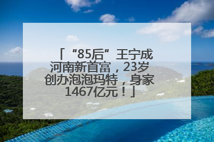 “85后”王宁成河南新首富，23岁创办泡泡玛特，身家1467亿元！