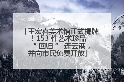 王宏喜美术馆正式揭牌！153 件艺术珍品 “ 回归 ” 连云港，并向市民免费开放