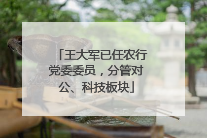 王大军已任农行党委委员，分管对公、科技板块