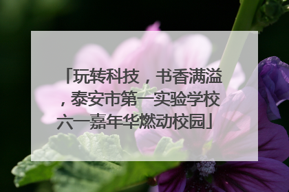 玩转科技，书香满溢，泰安市第一实验学校六一嘉年华燃动校园