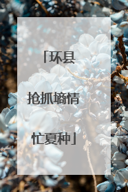 环县 抢抓墒情忙夏种